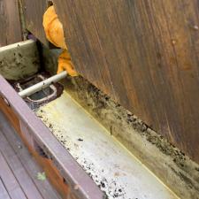 Blowing rock gutters (3)